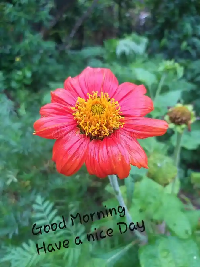 Every morning reminds me Of how lucky I am to have Someone special...